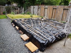 Black Plastic Sheets to Kill Weeds (photo by My Garden Plot)