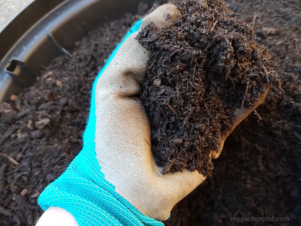 Rick, dark and crumbly "black gold" compost (photo by My Garden Plot)