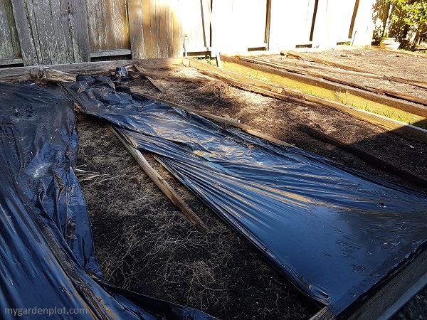 Garden Beds Covered with Black Plastic (photo by My Garden Plot)