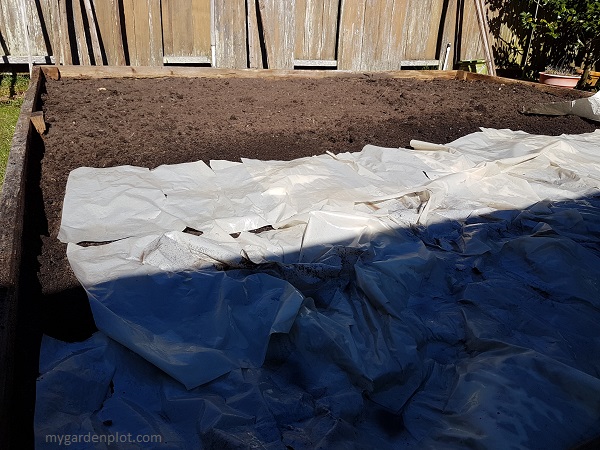 Old packing paper and newspaper sheets soaked with water - great for weed suppression (photo by My Garden Plot)