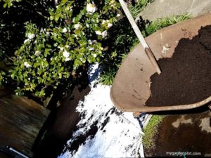 Soaked Paper Layers Being Covered With Mulch (photo by My Garden Plot)