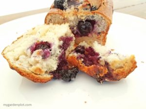 Read more about the article Best Blueberry Muffins or Mini Loaves