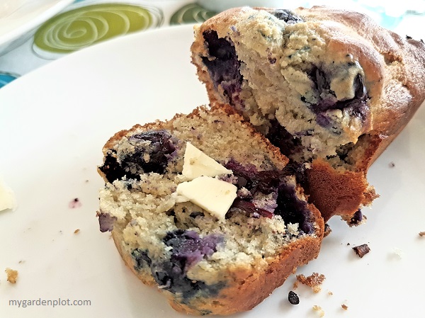 Hot Blueberry Mini Loaf With Butter (photo by Rosana Brien / My Garden Plot)