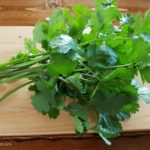 Tips For Growing Cilantro