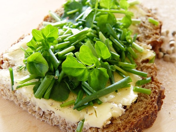Chive, Watercress And Brie Cheese Sandwich Snack
