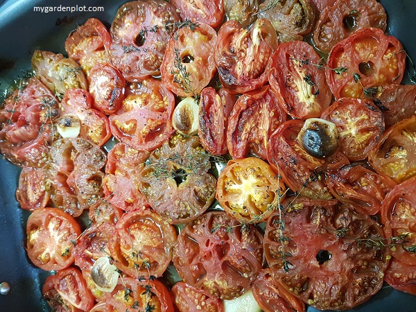 Quick And Easy Oven-Roasted Tomatoes (photo by Rosana Brien / My Garden Plot)