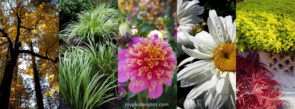 Inspired by the beauty of nature (photo by Rosana Brien / My Garden Plot)